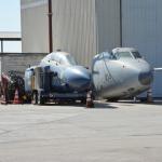 Cambria_0163 (November 02, 2013)